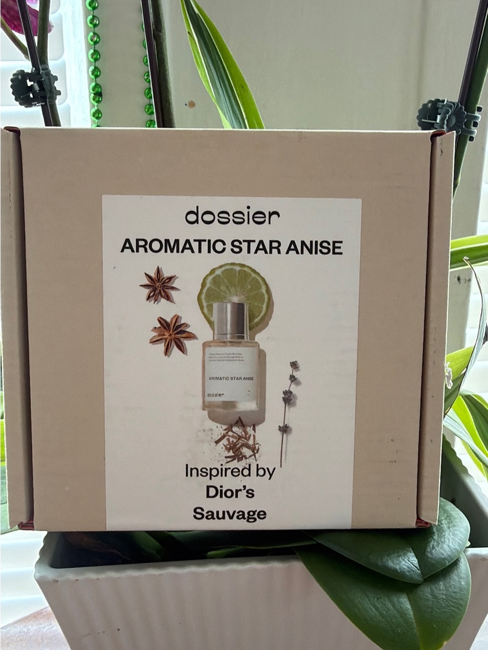 Aromatic Star Anise Women Skincare